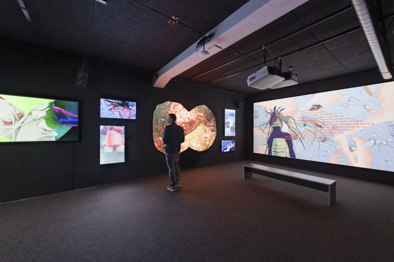 Schweizer Medienkunst, Pax Art Awards 2022, Johanna Bruckner, Metabolic Hardware, Installationsansicht, Foto Franz Wamhof